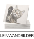 leinwandbilder